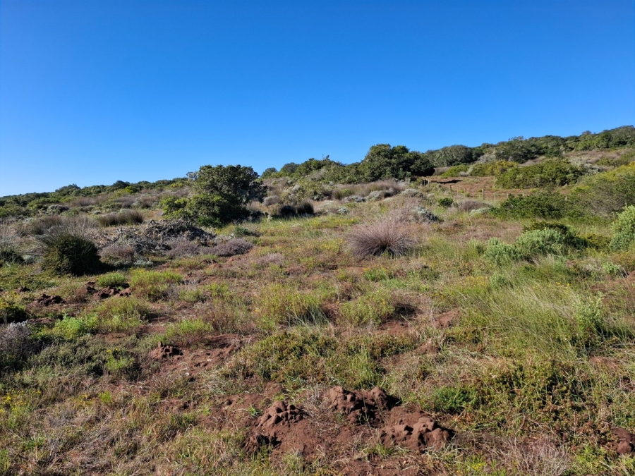3 Bedroom Property for Sale in Stilbaai Rural Western Cape